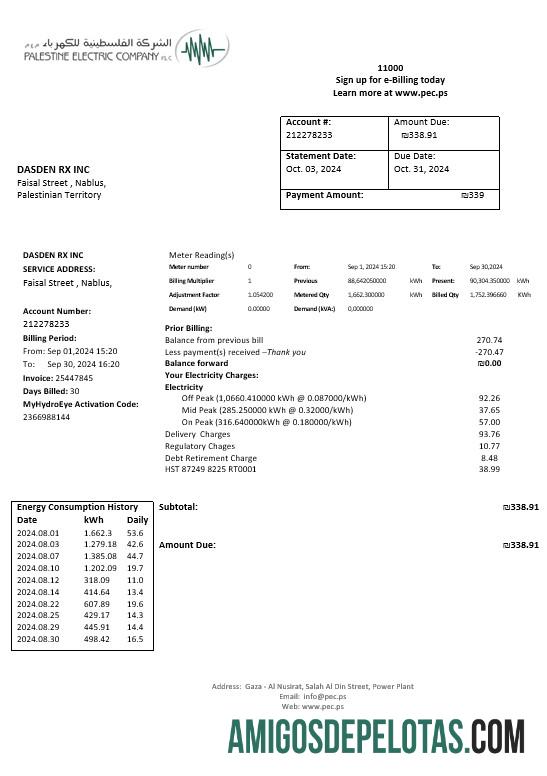 imprimível Modelo de conta de serviços públicos da Palestina Electric Company (PEC) em formatos Word e PDF